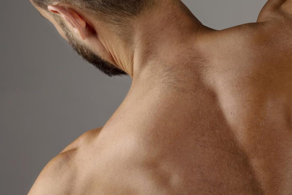 clavicule courte musculation