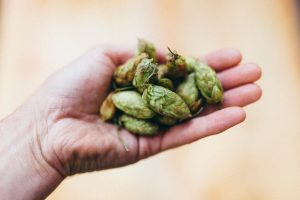 levure de biere bienfaits