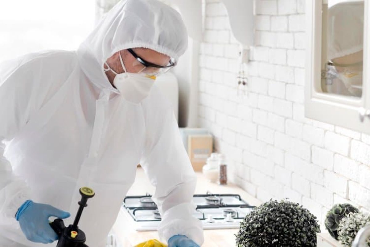 comment-se-debarrasser-des-cafards-dans-son-appartement-guide-complet