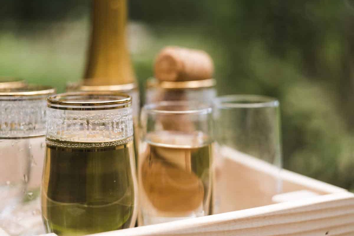 cure de sève de bouleau bienfaits​