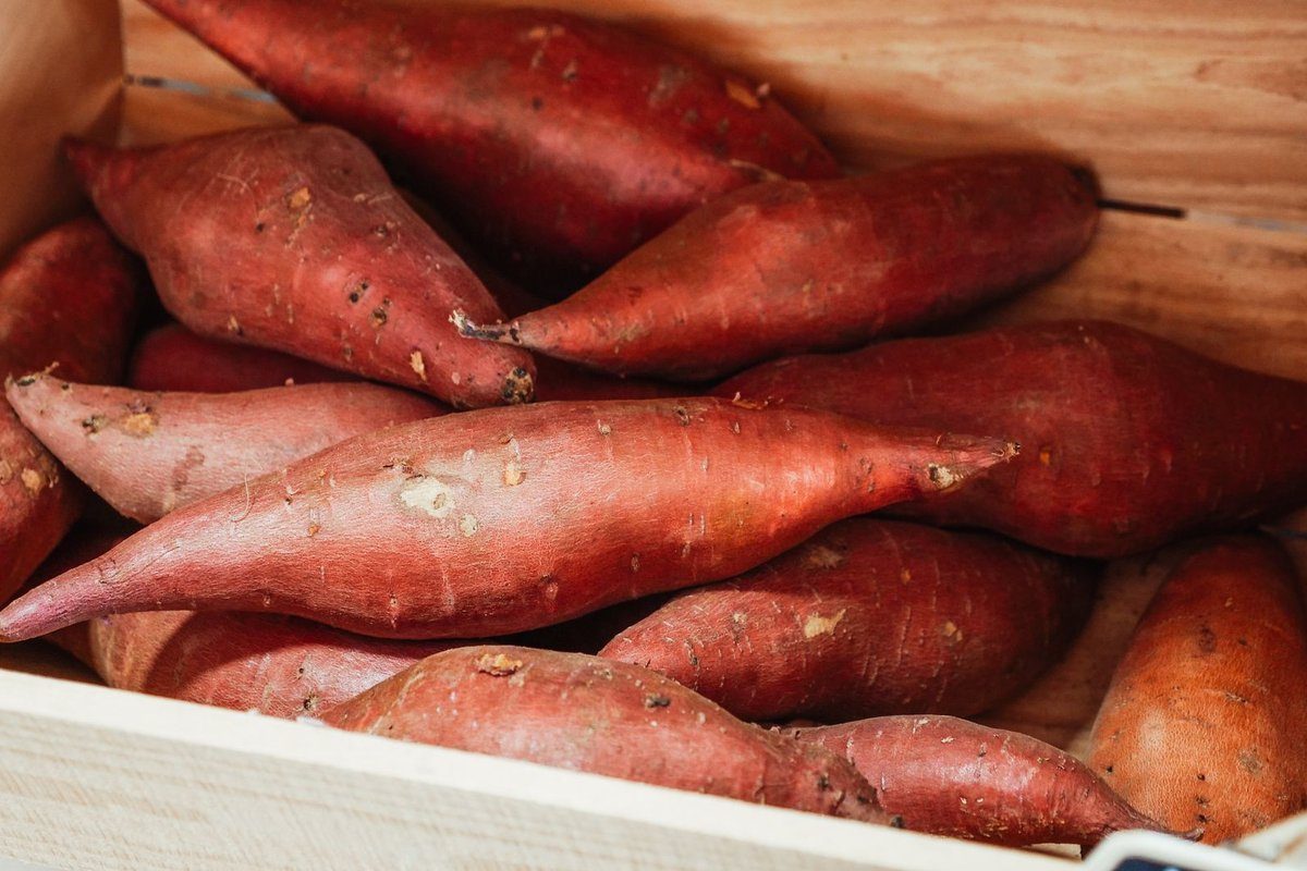 patate douce index glycemique