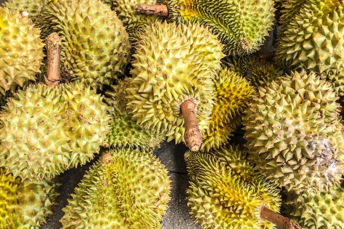 ​fruit en d​
